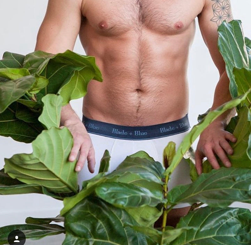 Pure White Trunk Underwear - Made In USA