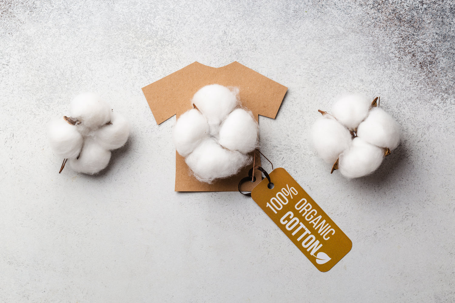 Discover Supima® Cotton: The Ultimate Guide