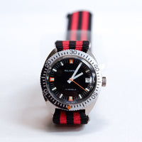 Vintage 1960's Paul Raynard Diver's Watch