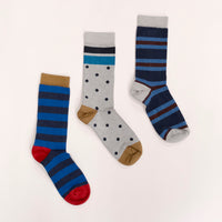 Navy, Pale Blue & Burgundy College Stripe Socks
