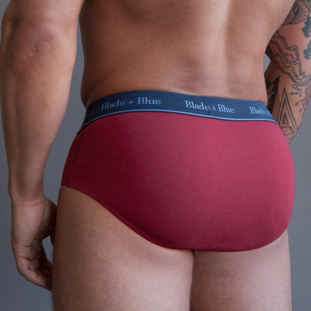 Charlemagne Navy Briefs  Men's sheer Bikini Briefs in red Embroidered Mesh