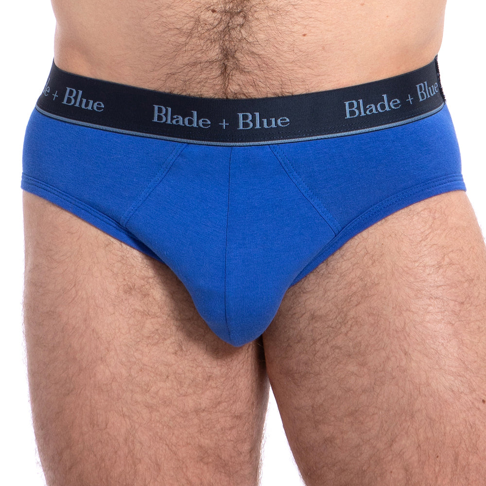 Insustituible Patentar El cuarto Mens Blue Low Rise Brief Underwear Made in USA – Blade + Blue